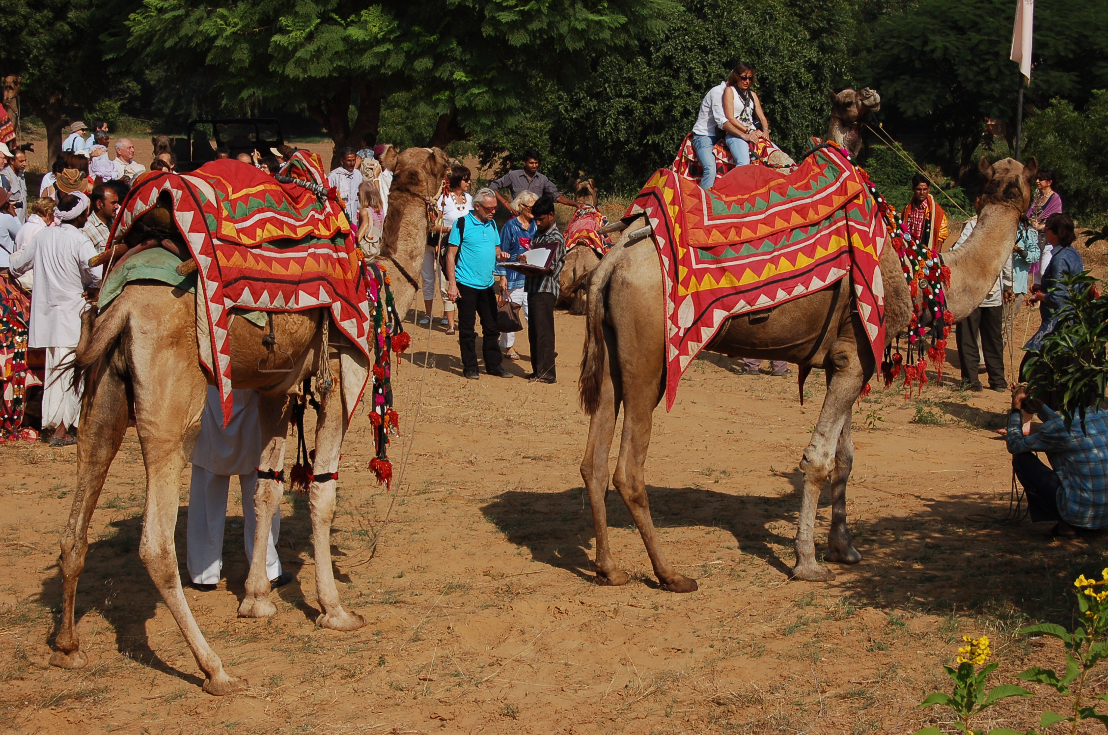 Image from Farm Lunch - Samode